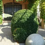 Seestern, 04