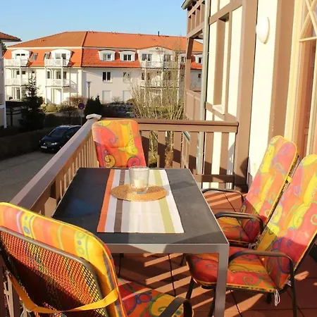 Seestern, 04 Ostseebad Kühlungsborn