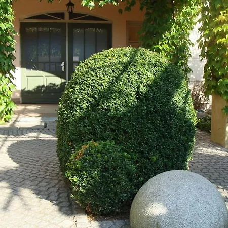 Seestern, 04
