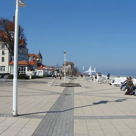 Seestern, 04 * Ostseebad Kühlungsborn