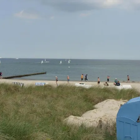 Seestern, 04 Ostseebad Kühlungsborn